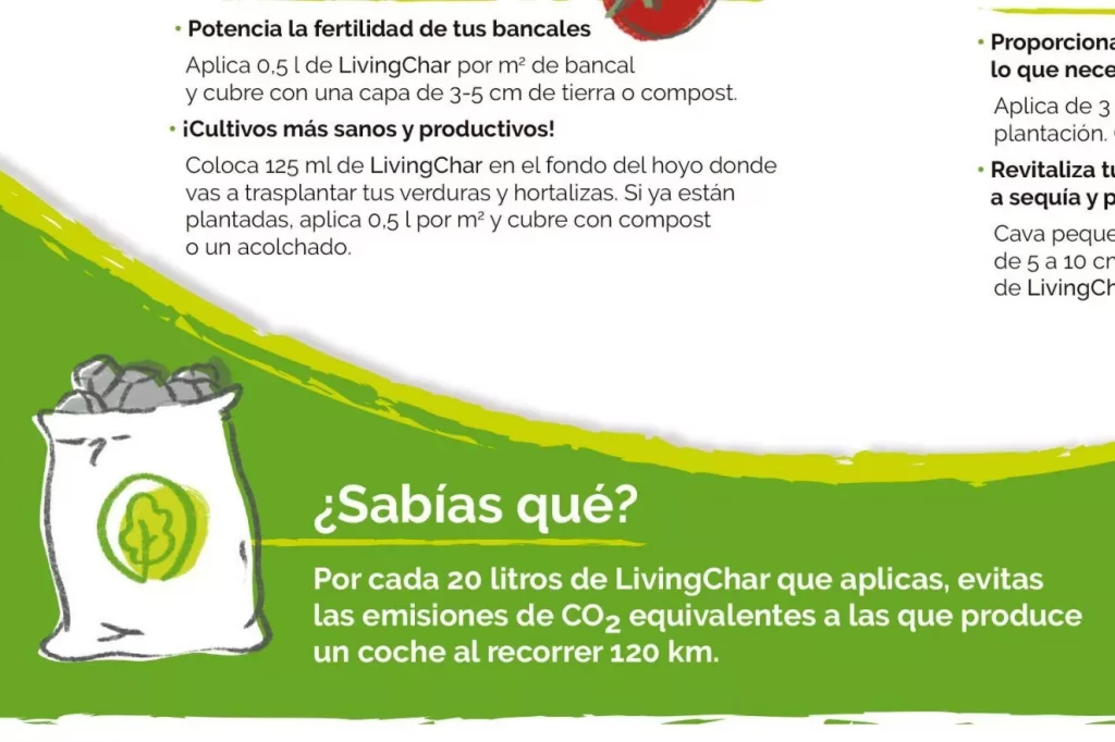 diseno-de-ilustraciones-para-cartel-informativo-1325x883